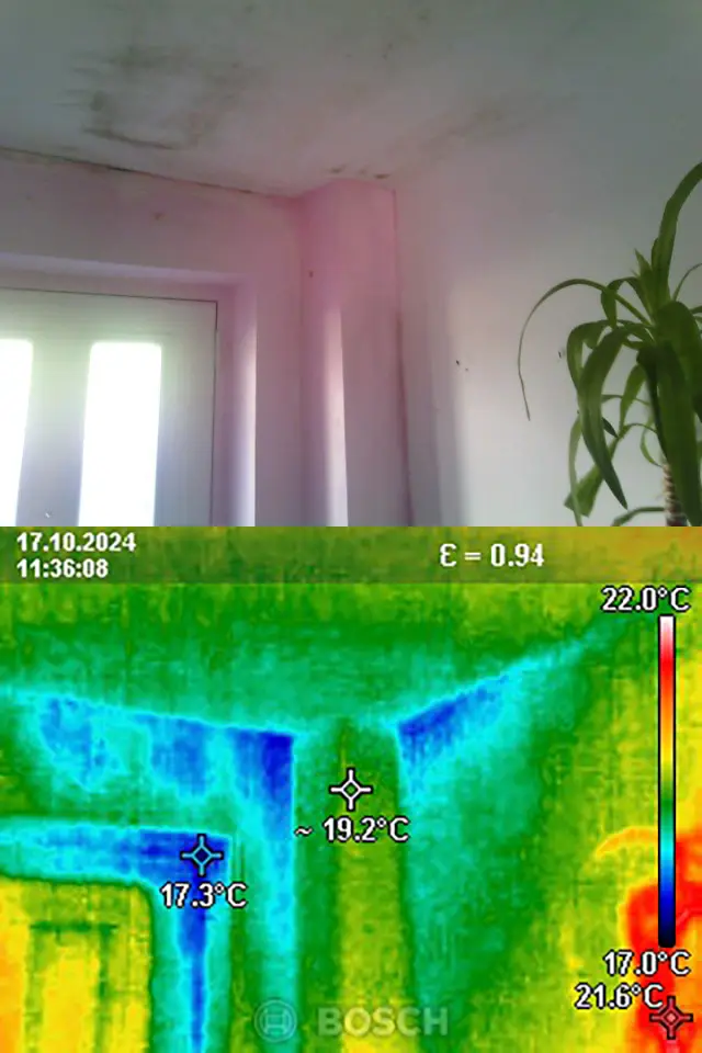 Mould & Damp in Hall